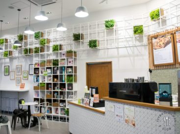 Q House All Day Cafe